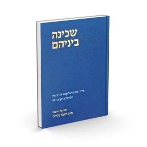 שכינה ביניהם